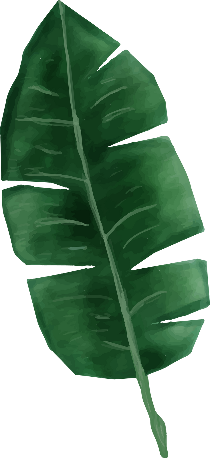 Watercolor Banana Leaf